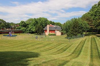 Fenced dog park